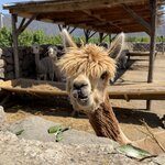 Photo taken by Nicole G