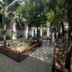 Photo taken by Tom B