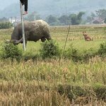 Photo taken by Margaret S