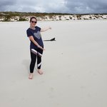 Marine iguanas abound at the bay | Photo taken by Peter S