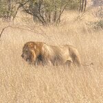 Photo taken by rafiq m