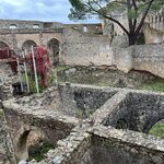 Photo taken by Lynn T