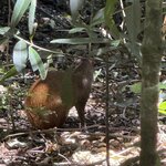 Photo taken by Bert B