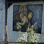 Photo taken by Wendy P