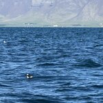 Photo taken by Dawn S