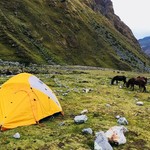 Camp! | Photo taken by John M