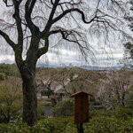 Photo taken by Nikki H