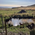 Photo taken by Isabel H