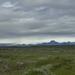 Photo taken by PETER S