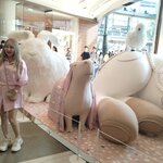 Photo taken by Janice D