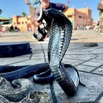 Photo taken by Raelene S