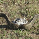 Photo taken by Kristin M