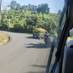 Photo taken by Camille S