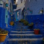 Photo taken by Lisa R