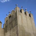 Photo taken by Mark L