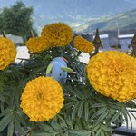 Photo taken by Dee M