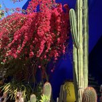 Photo taken by Rachel R