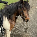 Photo taken by Lisa S