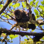 Photo taken by Ceinwen P