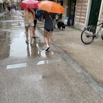 Photo taken by Tanya A