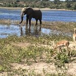 Photo taken by rhonda c