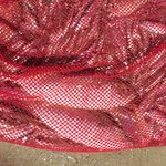 Fish in the net. | Photo taken by Sylvanna C