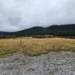 Photo taken by Shelly N