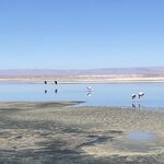 Photo taken by Carmen P