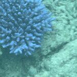 Photo taken by Cindy H