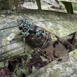 Photo taken by Breann B