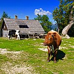 Photo taken by Dianne W