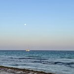 Photo taken by Carter G