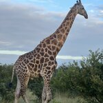 Photo taken by Crystall P