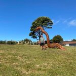 Photo taken by Mike C