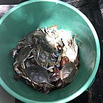 Photo taken by Janice B