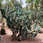 Photo taken by Louis U