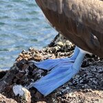 Photo taken by Sharon J