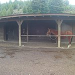 Photo taken by Nicholas T