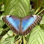 Photo taken by Sara W