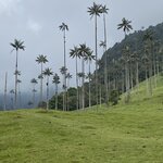 Photo taken by Carine D