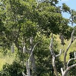 Photo taken by Michael L