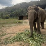 Photo taken by Brandon P