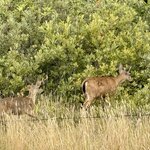 Photo taken by Silvain B