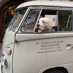 Photo taken by Jodi P