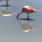 Photo taken by alton r