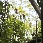 Photo taken by Deborah S