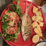 Catch of the Day | Photo taken by David C