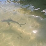 Photo taken by Elise C