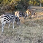 Photo taken by Tom B