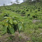 Photo taken by Touraj K